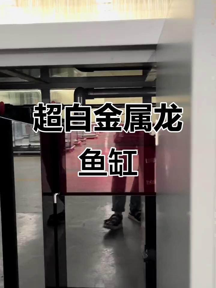 高端龍魚缸的材質有哪些選擇？