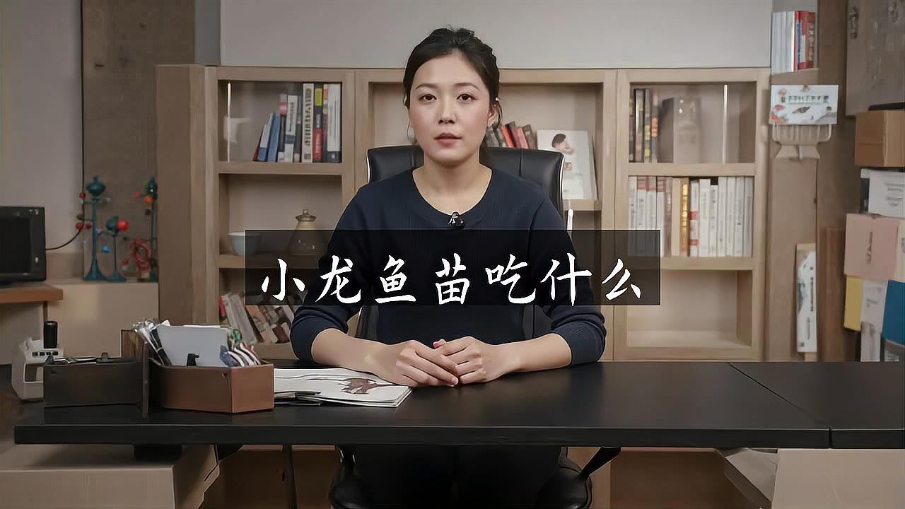 龍魚小魚苗吃什么食物？