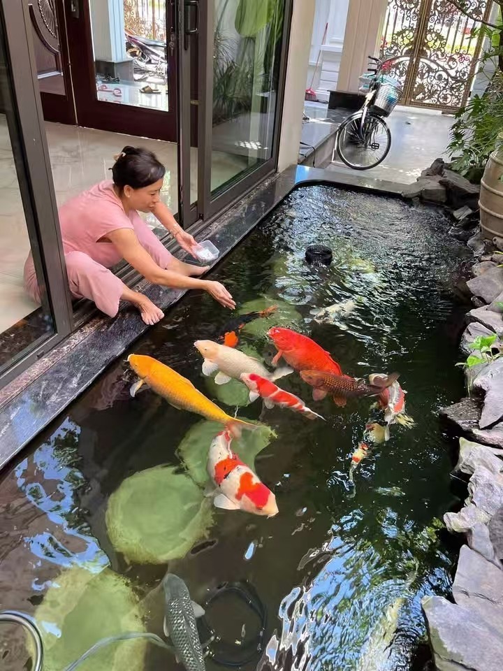 好好養(yǎng)魚??養(yǎng)好魚??