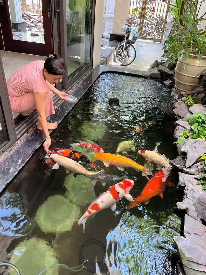 好好養(yǎng)魚??養(yǎng)好魚??