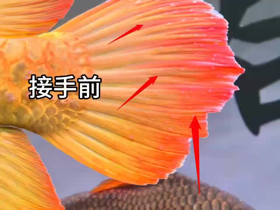 每天義診