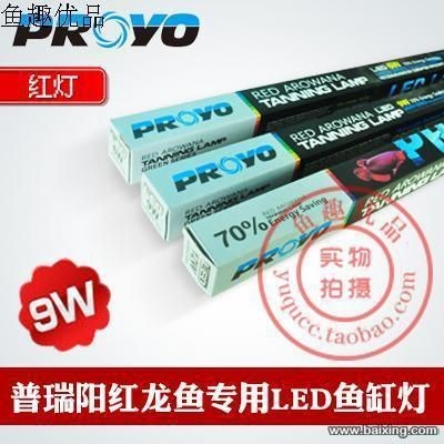 紅龍魚魚缸照明方案推薦：紅龍魚魚缸led燈品牌推薦,紅龍魚魚缸光照時間設置 紅龍魚魚缸照明方案推薦：紅龍魚魚缸led燈品牌推薦,紅龍魚魚缸光照時間設置 魚缸百科 第5張