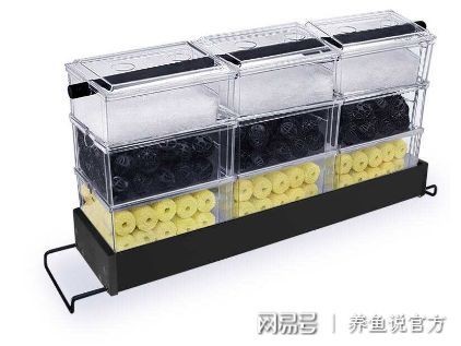 魚缸水質(zhì)管理的科學(xué)方法，：魚缸水質(zhì)管理的技巧