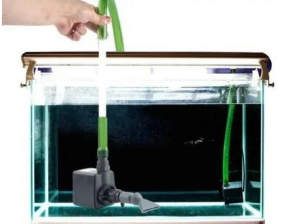 魚缸水質(zhì)管理的科學(xué)方法，：魚缸水質(zhì)管理的技巧