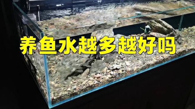 龍魚缸水位過高會有什么影響？ 龍魚缸水位過高會有什么影響？ 龍魚論壇 第1張
