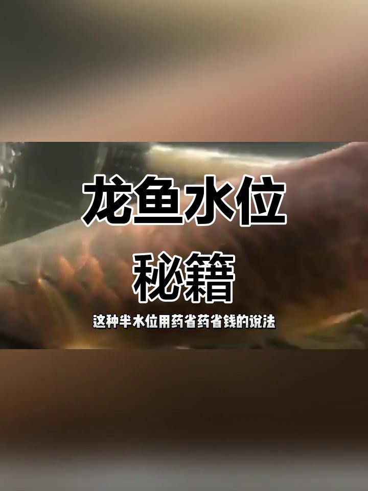龍魚缸水位過高會有什么影響？ 龍魚缸水位過高會有什么影響？ 龍魚論壇 第2張