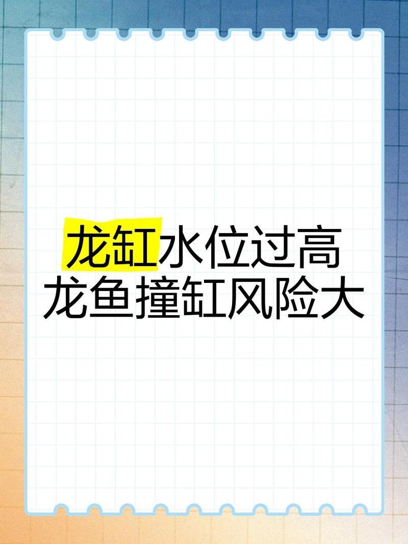 龍魚缸水位過高會有什么影響？ 龍魚缸水位過高會有什么影響？ 龍魚論壇 第7張