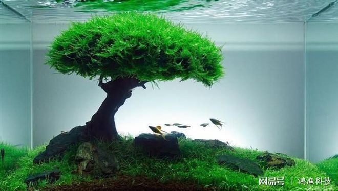 魚缸澄清劑使用方法圖解：魚缸水質檢測方法，魚缸澄清劑的使用方法