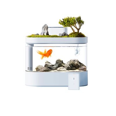 畫法幾何魚缸怎么樣？：畫法幾何魚缸是一種創新的設計理念