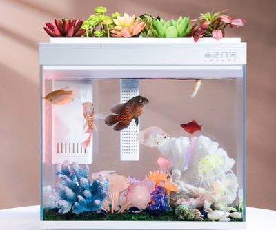 畫法幾何魚缸怎么樣？：畫法幾何魚缸是一種創新的設計理念