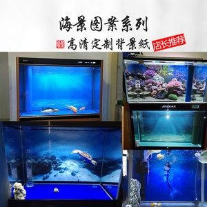 紅龍魚魚缸背景紙圖案：紅龍魚魚缸背景紙圖案介紹