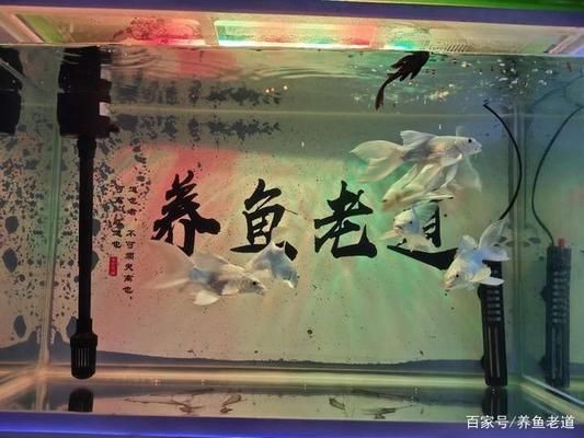 定制的魚缸會爆缸嗎為什么不爆缸（定制魚缸是否會爆缸）