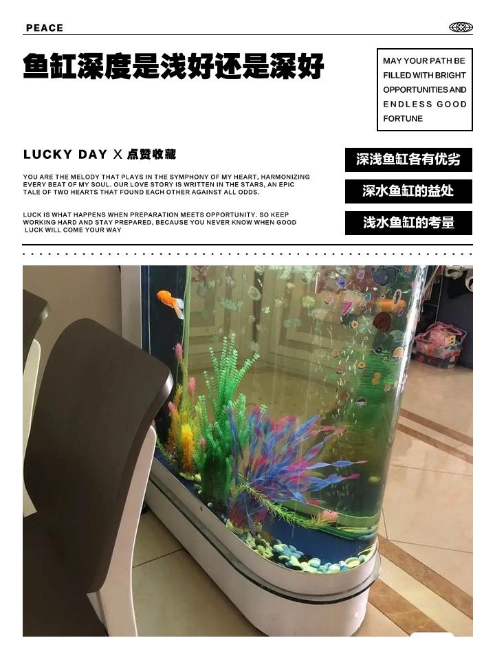 深缸適合養(yǎng)什么魚(yú)