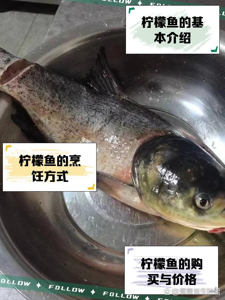 檸檬魚一般什么價位