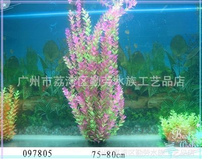 廣州魚缸造景批發市場在哪里進貨便宜點（廣州魚缸造景市場的競爭態勢廣州魚缸造景市場的競爭態勢）
