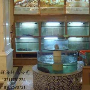 海鮮魚缸設計方案的建議：關于海鮮魚缸設計方案的建議