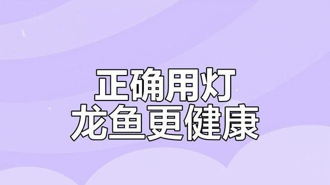 龍魚燈使用多久需要更換？