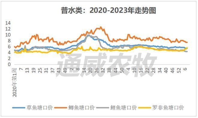 黃尾龍魚價格行情走勢：黃尾龍魚價格行情走勢總結(jié)：黃尾龍魚價格行情走勢