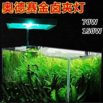 海水魚缸品牌排名前十（2024年海水魚缸品牌排名）