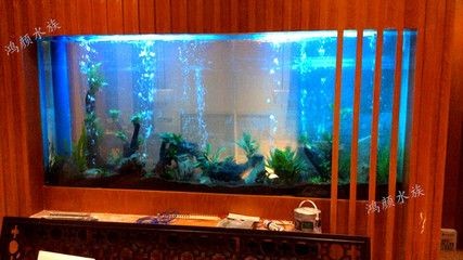高端魚缸定制多少錢一平方：高端魚缸定制價格