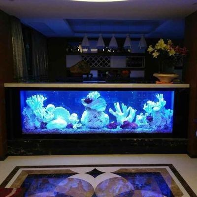 高端魚缸定制多少錢一平方：高端魚缸定制價格