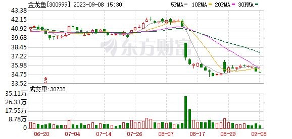 金龍魚陽江（金龍魚陽江指的是什么）