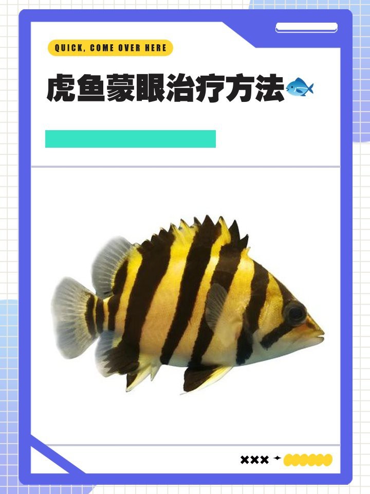 虎魚的眼睛有一層白膜