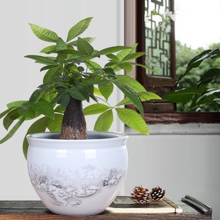 交城縣天寧禾木花卉種植園（交城縣天寧禾木花卉種植園地址）