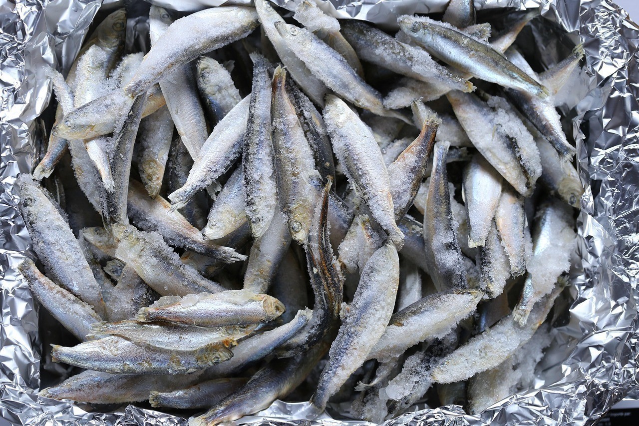 青龍棒魚最少耐多少度