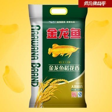 金龍魚成長期是幾年（金龍魚成長期的詳細信息：金龍魚的生長速度受到環境影響）