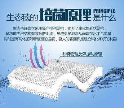 底濾魚缸用什么濾材比較好呢（底濾魚缸適用的濾材）