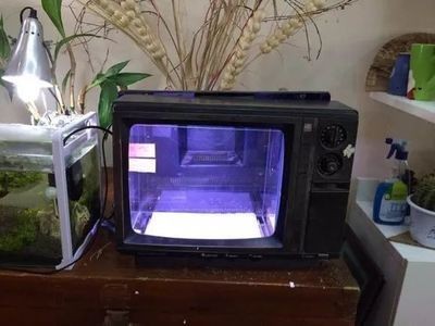 魚缸放在電視機旁邊好不好？：放魚缸在電視機旁邊并不是一個理想的選擇