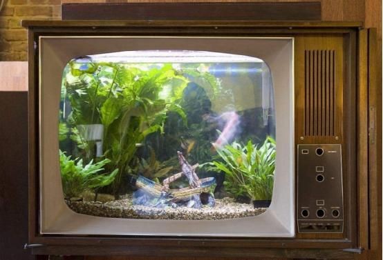 魚缸放在電視機旁邊好不好？：放魚缸在電視機旁邊并不是一個理想的選擇