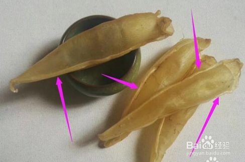 金龍魚魚膠是什么魚(金龍魚魚膠與石首魚膠的區別金龍魚魚膠與石首魚膠的區別) 龍魚百科 第3張 金龍魚魚膠是什么魚(金龍魚魚膠與石首魚膠的區別金龍魚魚膠與石首魚膠的區別) 金龍魚魚膠是什么魚(金龍魚魚膠與石首魚膠的區別金龍魚魚膠與石首魚膠的區別) 龍魚百科 第3張