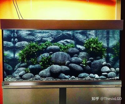 魚缸品牌標志為jin后面還有什么