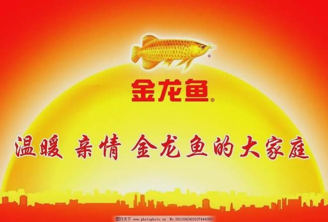白銀龍魚吃什么長的快些呢視頻（白銀龍魚吃什么長的快些呢視頻講解） 白銀龍魚吃什么長的快些呢視頻（白銀龍魚吃什么長的快些呢視頻講解） 銀龍魚百科