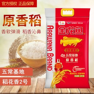銀龍魚(yú)苗圖片大全欣賞(銀龍魚(yú)幼苗圖片)