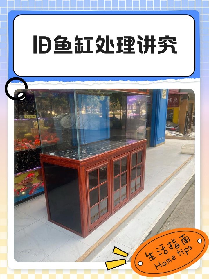 舊魚缸怎么處理風(fēng)水學(xué)