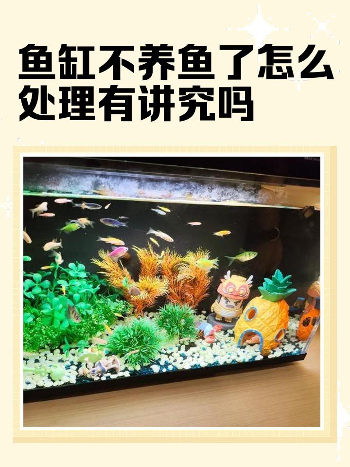 舊魚缸怎么處理風(fēng)水學(xué)