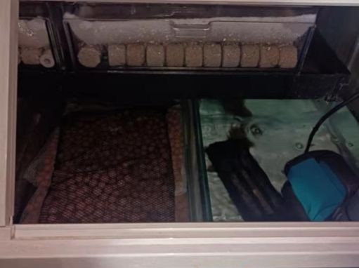底濾魚缸溢水處理方法底濾魚缸溢水怎么辦：底濾魚缸底濾魚缸溢水處理方法底濾魚缸溢水解決方案
