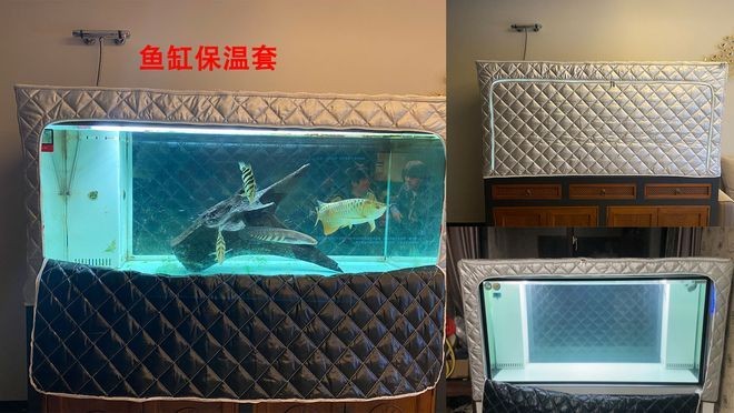魚缸定制哪家好一點：大型魚缸定制服務價格對比