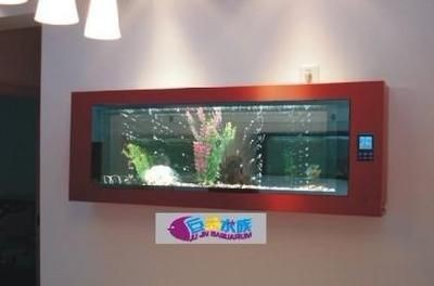 廣州魚缸維護(hù)服務(wù)公司：廣州一水族工作室提供魚缸維護(hù)魚缸維護(hù)服務(wù)的公司