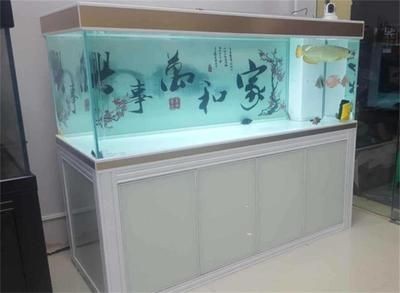 魚(yú)缸牌品，智能魚(yú)缸購(gòu)買(mǎi)指南魚(yú)缸材質(zhì)對(duì)比分析水族箱維護(hù)小技巧