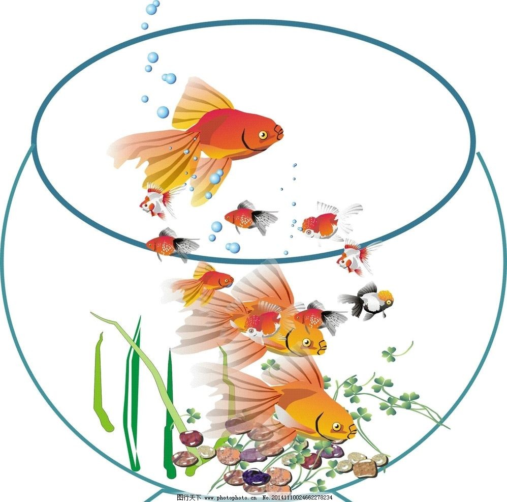溫州市鹿城區(qū)鴻錦水族館（溫州市鹿城區(qū)鴻錦水族館地址） 溫州市鹿城區(qū)鴻錦水族館（溫州市鹿城區(qū)鴻錦水族館地址） 全國(guó)水族館企業(yè)名錄