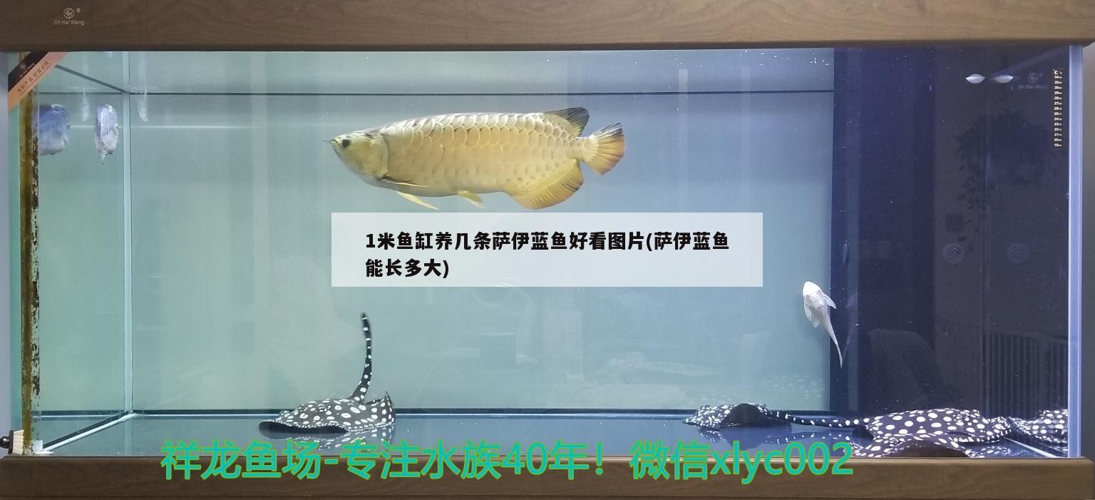 <strong><mark>古浪</mark></strong>縣精誠水族花卉店