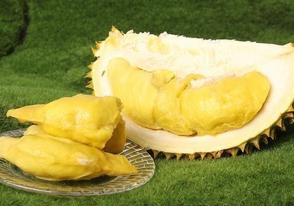 貓山王榴蓮的膳食纖維作用（貓山王榴蓮的營(yíng)養(yǎng)價(jià)值）