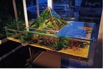 負壓魚缸科學原理解析負壓魚缸的科學原理解析：負壓魚缸制作方法 負壓魚缸科學原理解析負壓魚缸的科學原理解析：負壓魚缸制作方法 魚缸百科 第3張