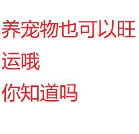 屬什么的人最適合養六角龍？ 屬什么的人最適合養六角龍？ 龍魚論壇 第7張