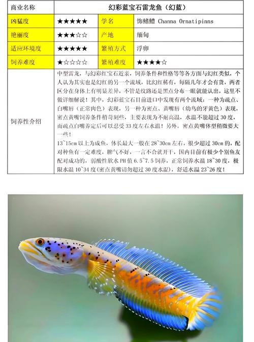什么叫雷龍魚圖片大全