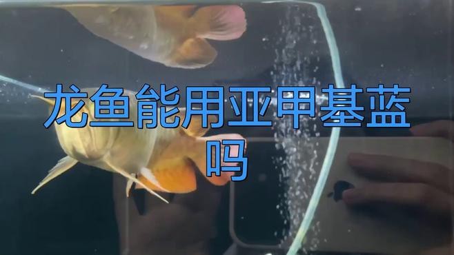 龍魚養殖中哪些藥物可能殘留？ 龍魚養殖中哪些藥物可能殘留？ 龍魚論壇 第2張